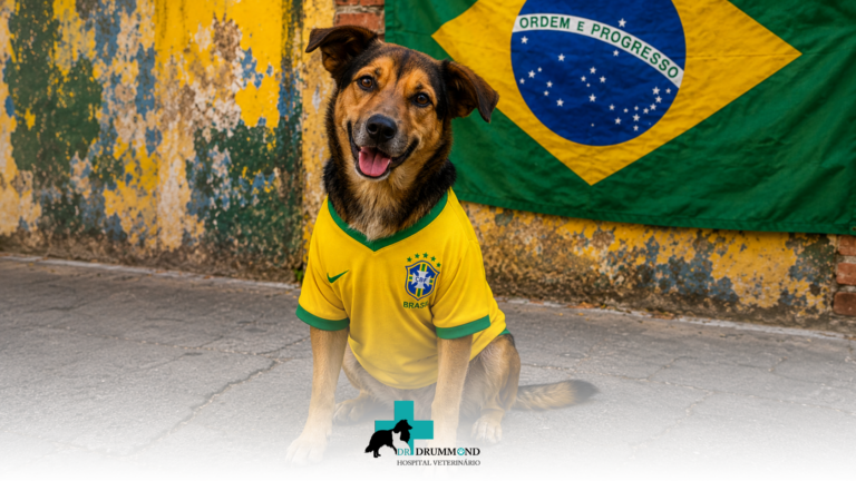 Copa do Mundo e pets: como proteger cães e gatos do estresse durante os jogos
