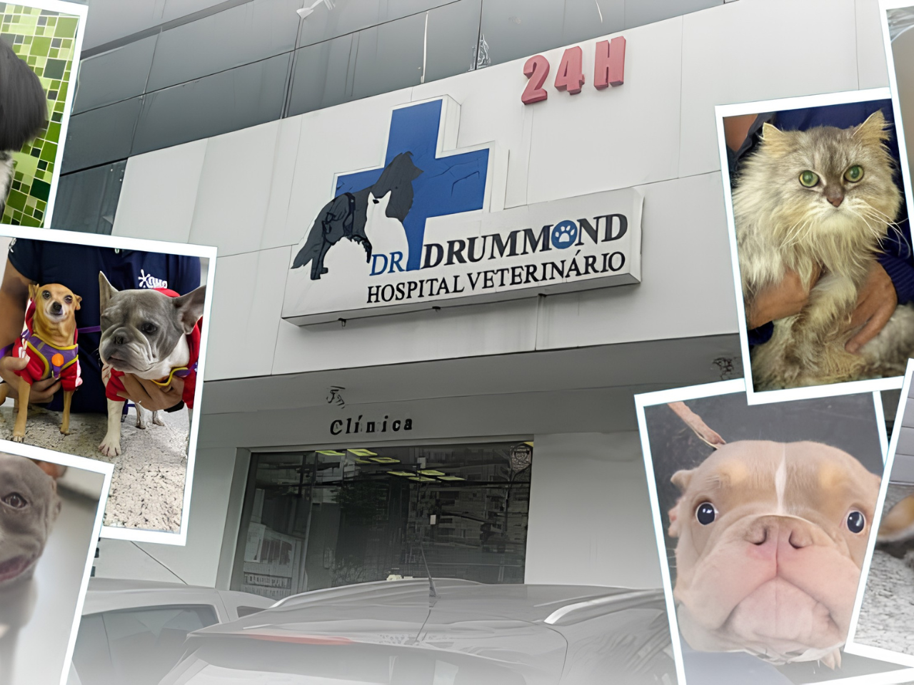 Equipe do Hospital Veterinário Dr. Drummond com pets