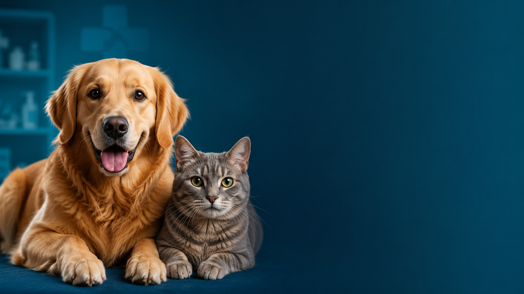 Cão e gato saudáveis