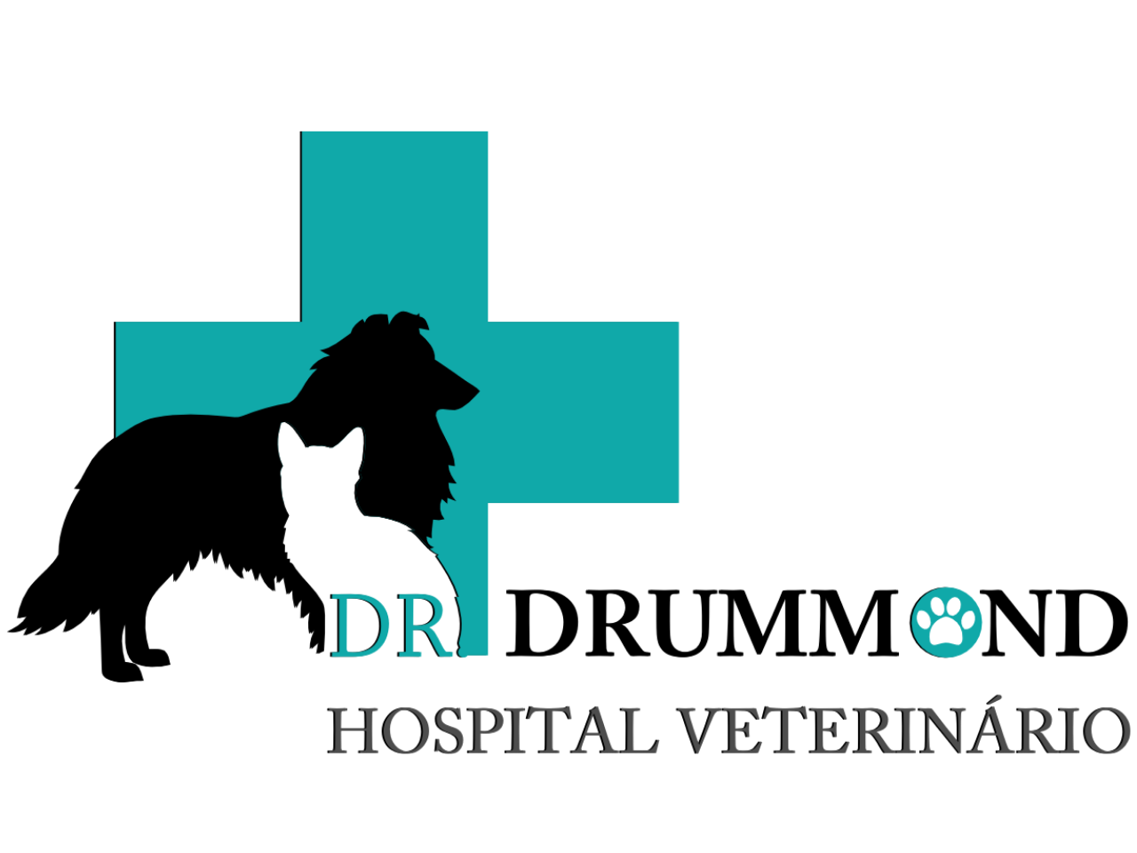 Logo Hospital Veterinário Dr. Drummond