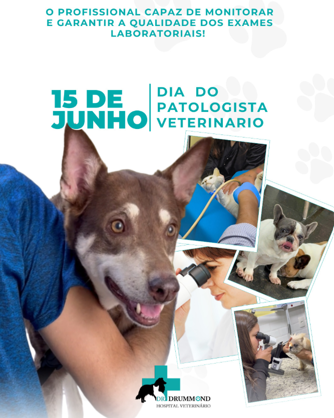 Instagram Dr. Drummond