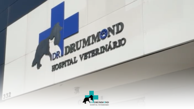 Benefícios de um Hospital Veterinário 24 Horas para a Segurança do Seu Pet
