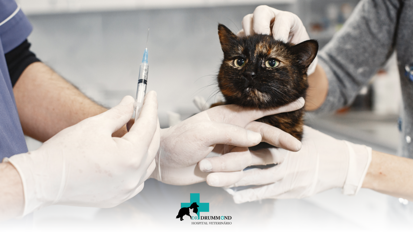 Emergências Veterinárias: Situações que Exigem Atendimento Imediato